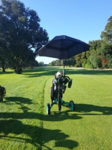Golf trolley at Royal Cape Golf Club with an open umbrella attached for sun protection on a hot day, positioned beside a fairway lined with trees.