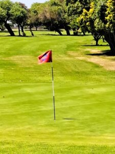 Red flag on the green at Rondebosch Golf Club, January 2026.