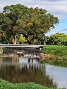 Canal and bridge viewed from the 8th tee box at Rondebosch Golf Club, LIV 5, May 2026.