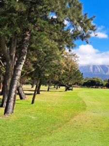 Tree-lined fairway at Royal Cape Golf Club with mountain views and blue sky, LIV 3, April 2026.